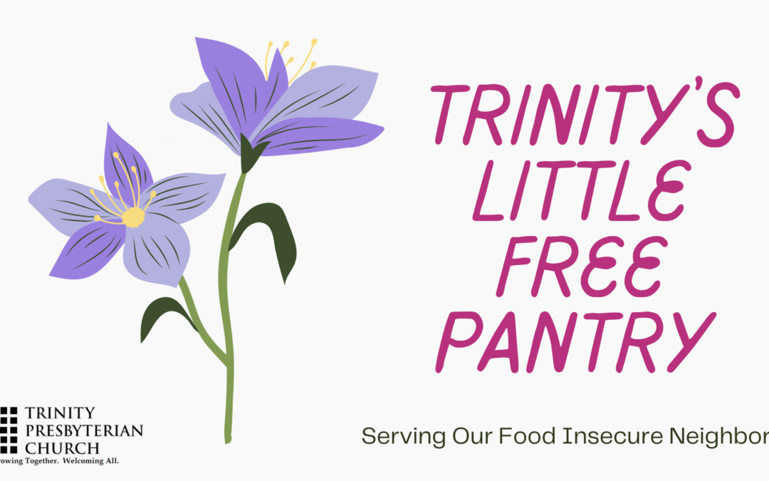 Trinity’s Little Free Pantry